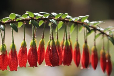 东莞望牛墩私人快速借钱网，轻松解决资金难题