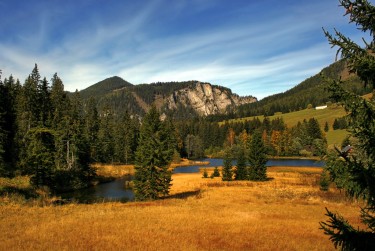 东莞望牛墩民间私贷攻略：揭秘低成本借贷的秘密