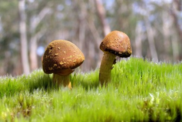 东莞望牛墩私人老板放款：轻松融资的秘密通道